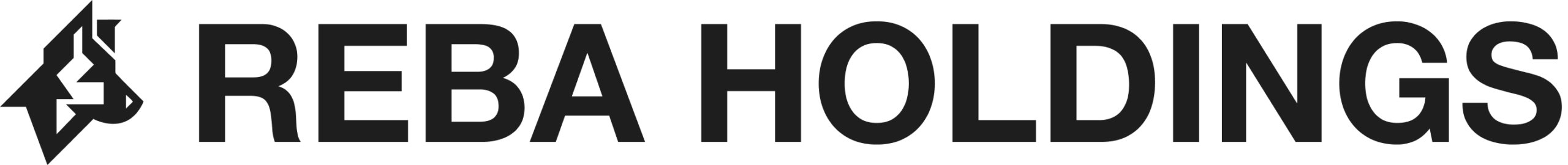 Reba Holdings Icon
