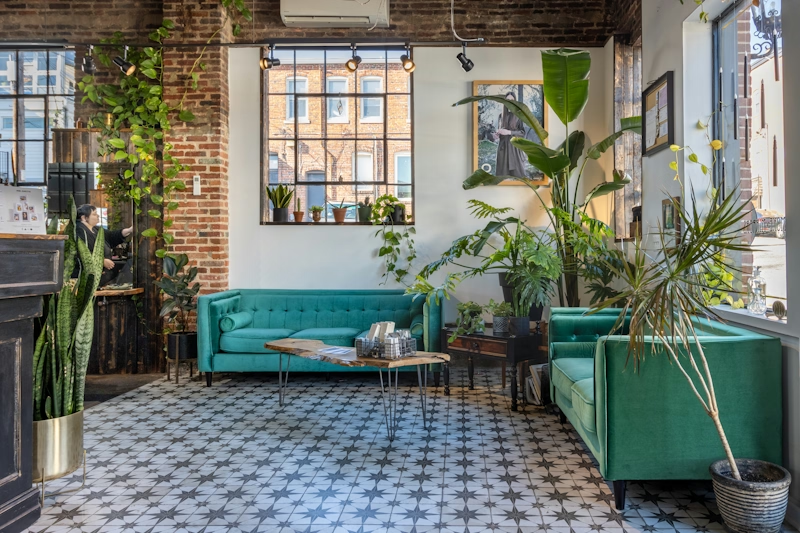 Couch sitting area with plants